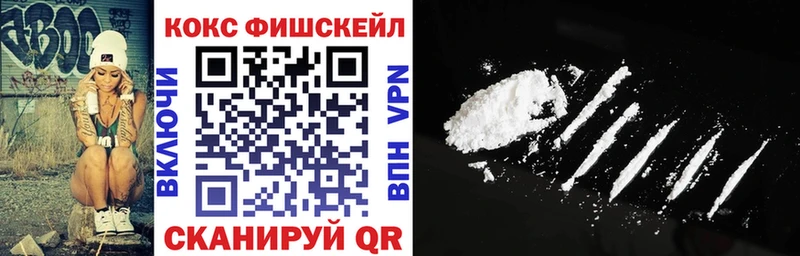 Кокаин FishScale  купить  цена  Инза 