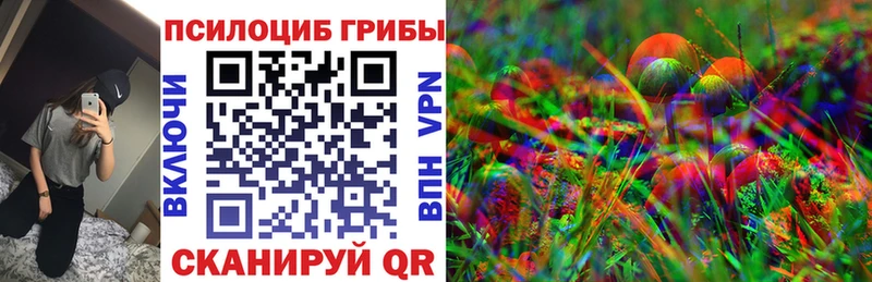 KRAKEN ТОР  Инза  Псилоцибиновые грибы Cubensis 
