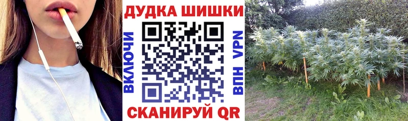 Бошки марихуана конопля  даркнет сайт  Инза 